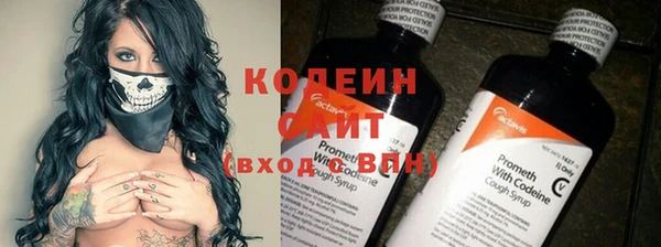 сатива Вяземский