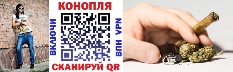 Конопля Amnesia  Купить где  Судак 